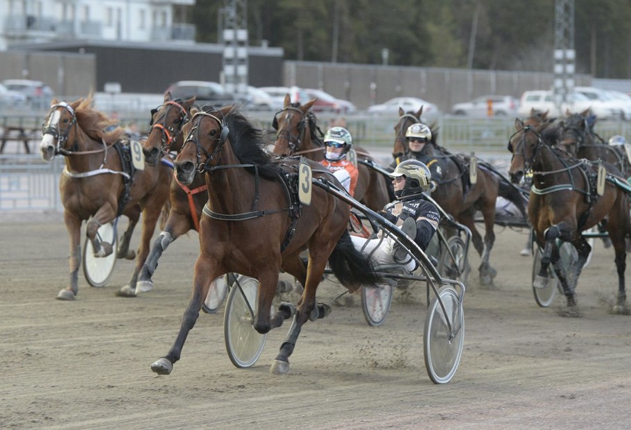 Önas Rose 230506.jpg